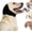 Black, variant on Zenpup Noise Cancelling Ear Wrap, Noise Protection Firework Thunder, Elastic Dog Ear Wrap with Sound-Blocking Rubber Pads, No Shake, Adjustable (Black+Gray, Small)