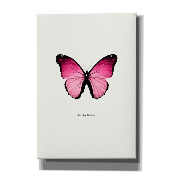 Epic Graffiti 'Pink Butterfly' by GraphINC, Giclee Canvas Wall Art, 18"x26"