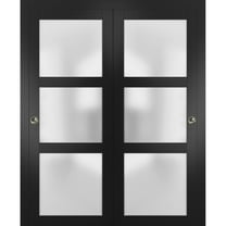 Sliding Closet Frosted Glass Bypass Doors 36 x 96 inches | Lucia 2552 Matte Black | Sturdy Top Mount Rails Moldings Trims Hardware Set | Wood Solid Bedroom Wardrobe Doors