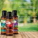 thumbnail image 3 of Aceite Para Masaje VIDA SCENTS Almendras y Linaza (60 ML) 3 piezas Vida Scents aceite_Almendras_y_Linaza_60ml, 3 of 4