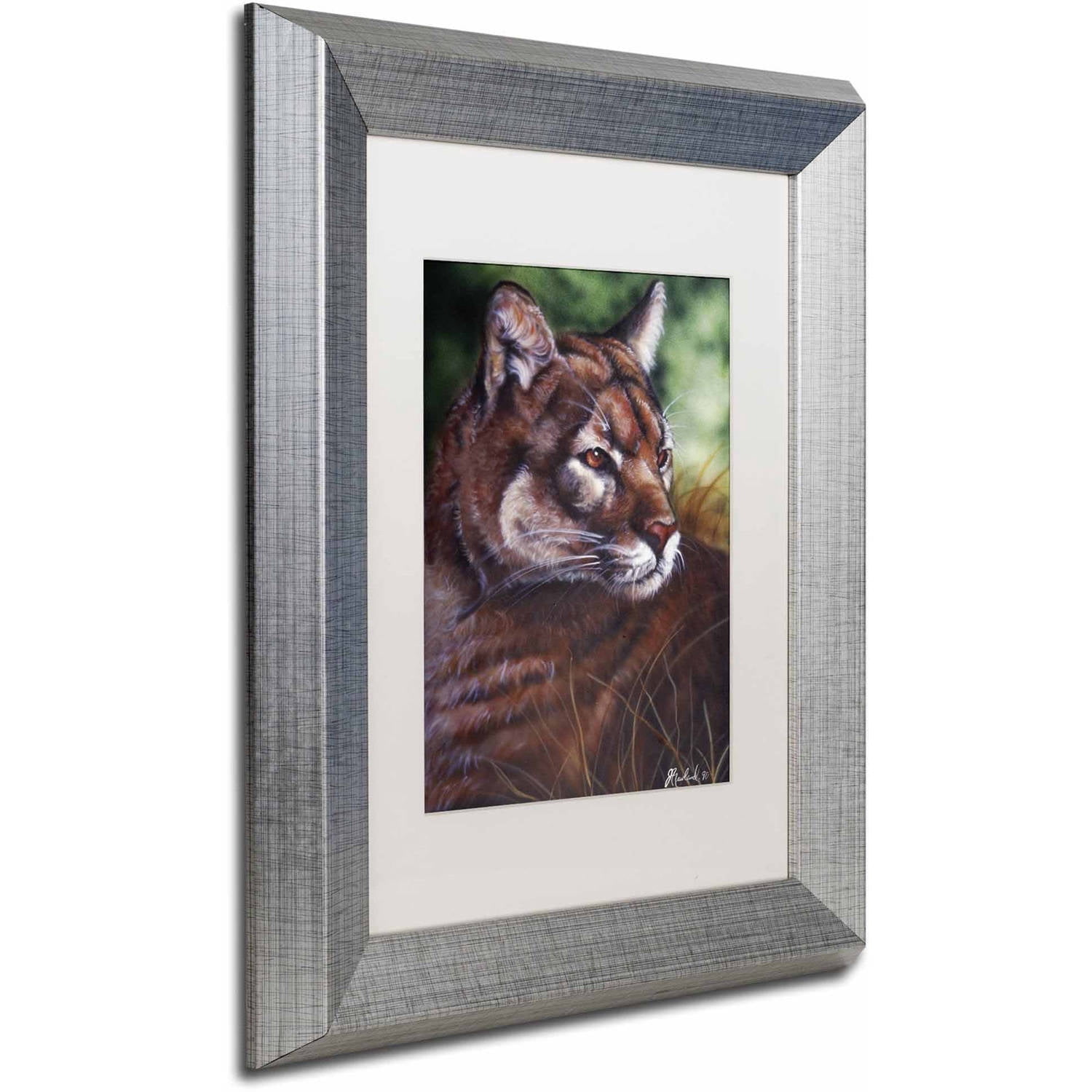 Trademark Fine Art 'Watchful Eyes II' Canvas Art by Jenny Newland, White Matte, Silver Frame