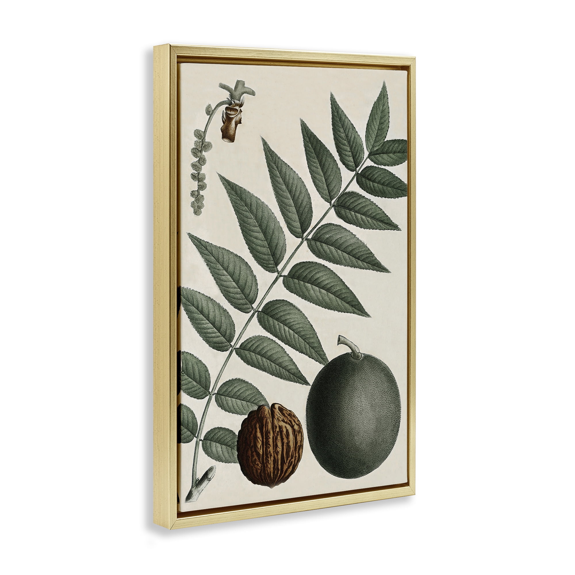 Stupell Industries Vintage Walnut & Leaf Plants & Flowers Painting Gold Floater Framed Canvas Art Print Wall Art, 17 x 25