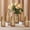 Amber, variant on Efavormart 6 Pack Clear Glass Urn Vases with Diamond Crystal Cut Pattern, Decorative Flower Vase Table Centerpieces - 8.5"
