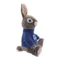 thumbnail image 2 of PETER RABBIT Sitting Peter Rabbit Plush, 2 of 6