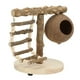 thumbnail image 3 of Soporte de juego para pájaros en T, jaula de perca para loros de mesa Natural, juguete con Base, escalera de escalada y nido de cáscara de coco, 3 of 5