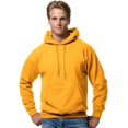 thumbnail image 1 of Hanes Chandail à Capuchon en Molleton ComfortBlend EcoSmart pour Hommes, TG, Or, 1 of 4