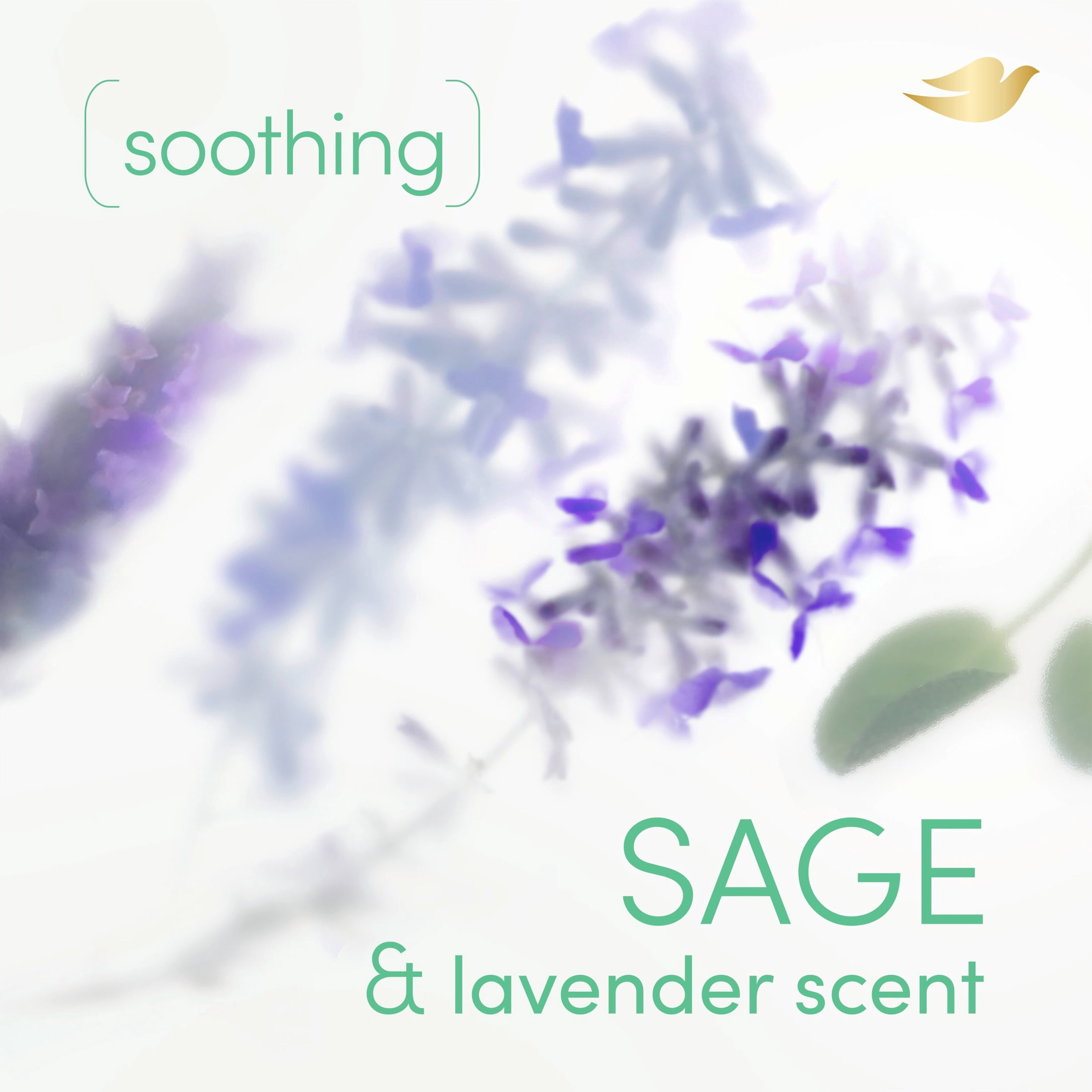 Dove Whole Body Deodorant Cooling Spray Sage & Lavender Aluminum Free ,4oz