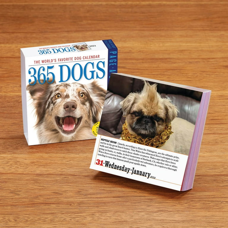 Page a Day Dog or Cat Calendar, 2023 - Walmart.com page-a-day-dog-or-cat-calendar-2023-walmart-com