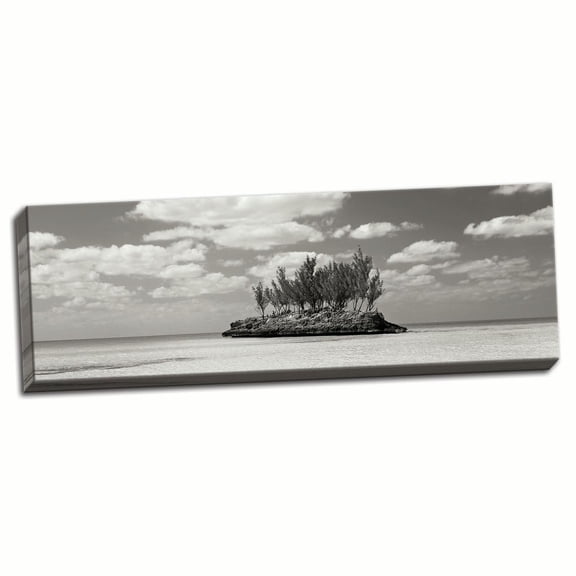 Gango Home Decor Gaulding Cay Conch BW Panel by Larry Malvin (Ready to Hang); One 36x12in Hand-Stretched Canvas