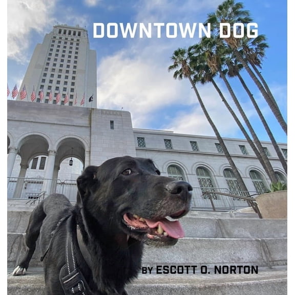 Downtown Dog (Hardcover)