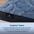 thumbnail image 3 of Serta 13.25" Full Perfect Sleeper Oasis Sleep Plush Innerspring Mattress Low Profile Set, 3 of 10