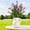 A, variant on HAJAGP Hot Pink Eucalyptus Handheld Bouquet Faux Flower for Spring/Summer Wedding Home Decoration