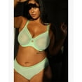 thumbnail image 2 of Sheer Mesh High Cut Brief - Appletini, 2 of 2