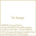 thumbnail image 3 of 12 Inch 2 Light Flush Mount In Modern Style 12 High By 3.5 Wide-Oil Rubbed Bronze Finish Capital Lighting 2032Or, 3 of 4