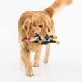 thumbnail image 3 of Latex Chicken Dog Toy, 3 of 5