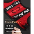 thumbnail image 4 of Chaleco FAYOGOO Air Mesh para perros pequeños con parches, 4 of 7