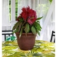 thumbnail image 5 of HC Companies Sierra 16 Inch Round Flower Garden Planter Pot, Rustic Redstone, 5 of 6