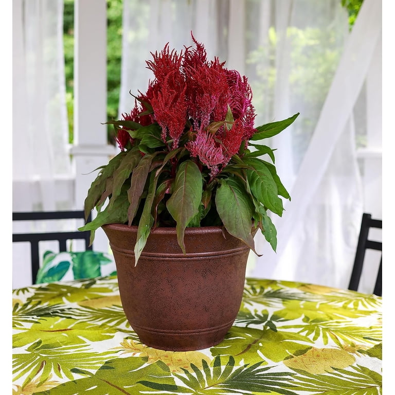 SRL.ROUNDTYPE PLANT POT-M カタチ製作所 SRL TAPEREDTYPE PLANT POT-XS, M, L SRL ROUNDTYPE PLANT POT-XS, M