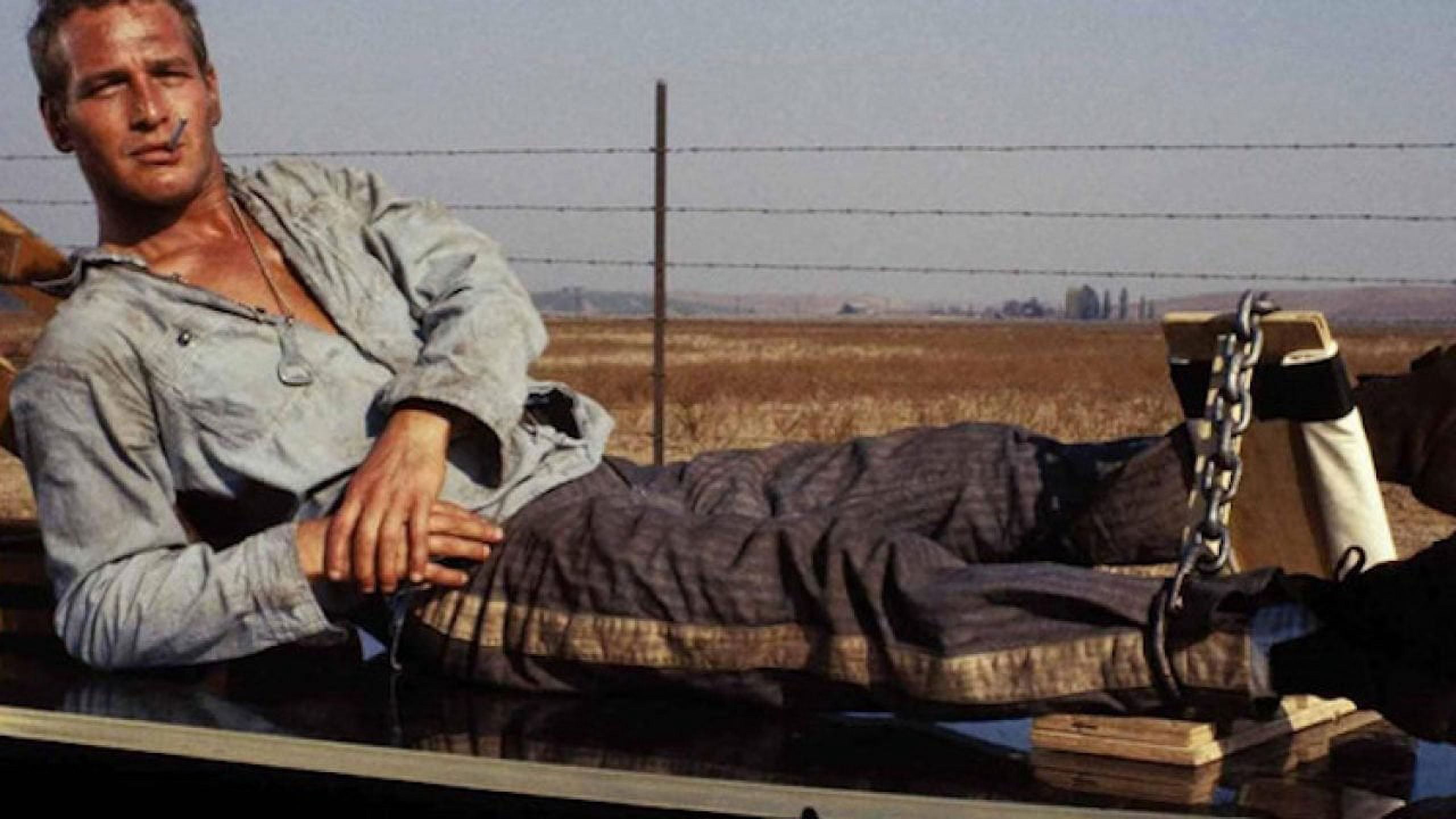 Cool Hand Luke - Deluxe Edition (DVD), Universal Import, Drama