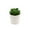 H, variant on Artificial Succulents in Pots, Small Mini Plastic Plants for Bathroom Office Cubicle Desk, Farmhouse Home Decor
