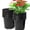 1-G Black, variant on AEED 0.5 Gallon Nursery Pots, Black Plastic Plant Pots with Drainage Holes, Reusable Seed Starter Pots for Planting, 30 Pack (6.70" x 5.10" x 6.90")
