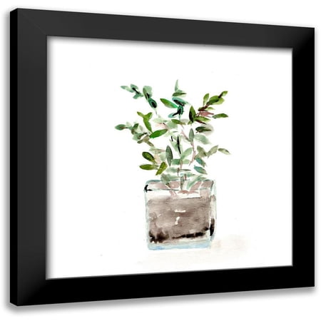 Chapman, Marcy 12x12 Black Modern Framed Museum Art Print Titled - Potted Botanicals V