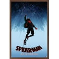 thumbnail image 1 of Marvel Spider-Man - Dans le Spider-Verse - Chute, 1 of 4