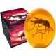 thumbnail image 1 of Mosquito coleccionable en resina ámbar VEOJEIN Jurassic 3D-B, 1 of 7