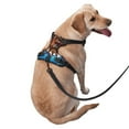 thumbnail image 3 of Bingfone Animals On Noah'S Ark2 No Pull Dog Vest Harness For Small Medium Large Dogs Strap For Puppy Walking,Training,Dog Harness-Small, 3 of 9