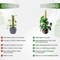 thumbnail image 1 of Bendable Plant Stakes,Real Moss Pole for Moss Stick Moss Pole Unrivaled Performance, 1 of 6