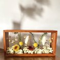 thumbnail image 3 of Marco para arte de flores prensadas DIY - Marco colgante de latón - Marco de vidrio flotante dorado con cadena JAMW Sencillez, 3 of 5