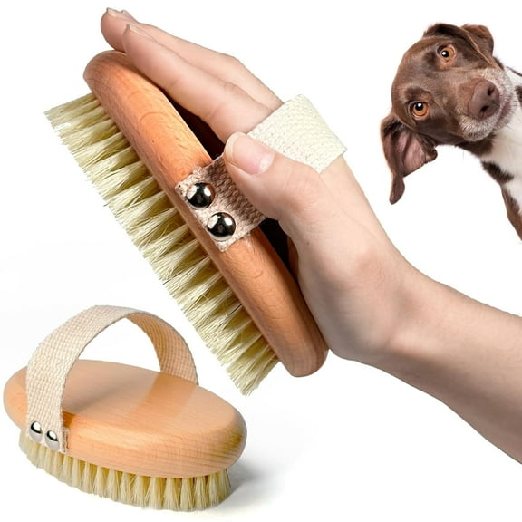 Professional Dog Brush Boar Bristle for Short-Haired Dogs - Reduces Shedding, Non-Slip Grip, Gentle Grooming