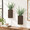 Brown-Medium, variant on Gray Medium Paulownia Wood Wall Planter Set with Plastic Eucalyptus, 2 Pack