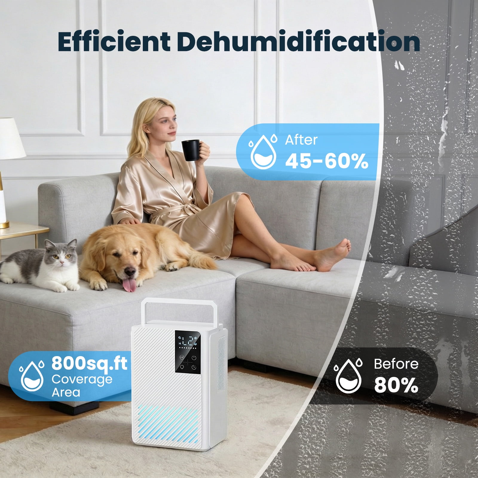 Dehumidifier for Home, 67 oz Water Tank Small Dehumidifier Bedroom Bathroom Auto Shut Off 7 Color LED Light