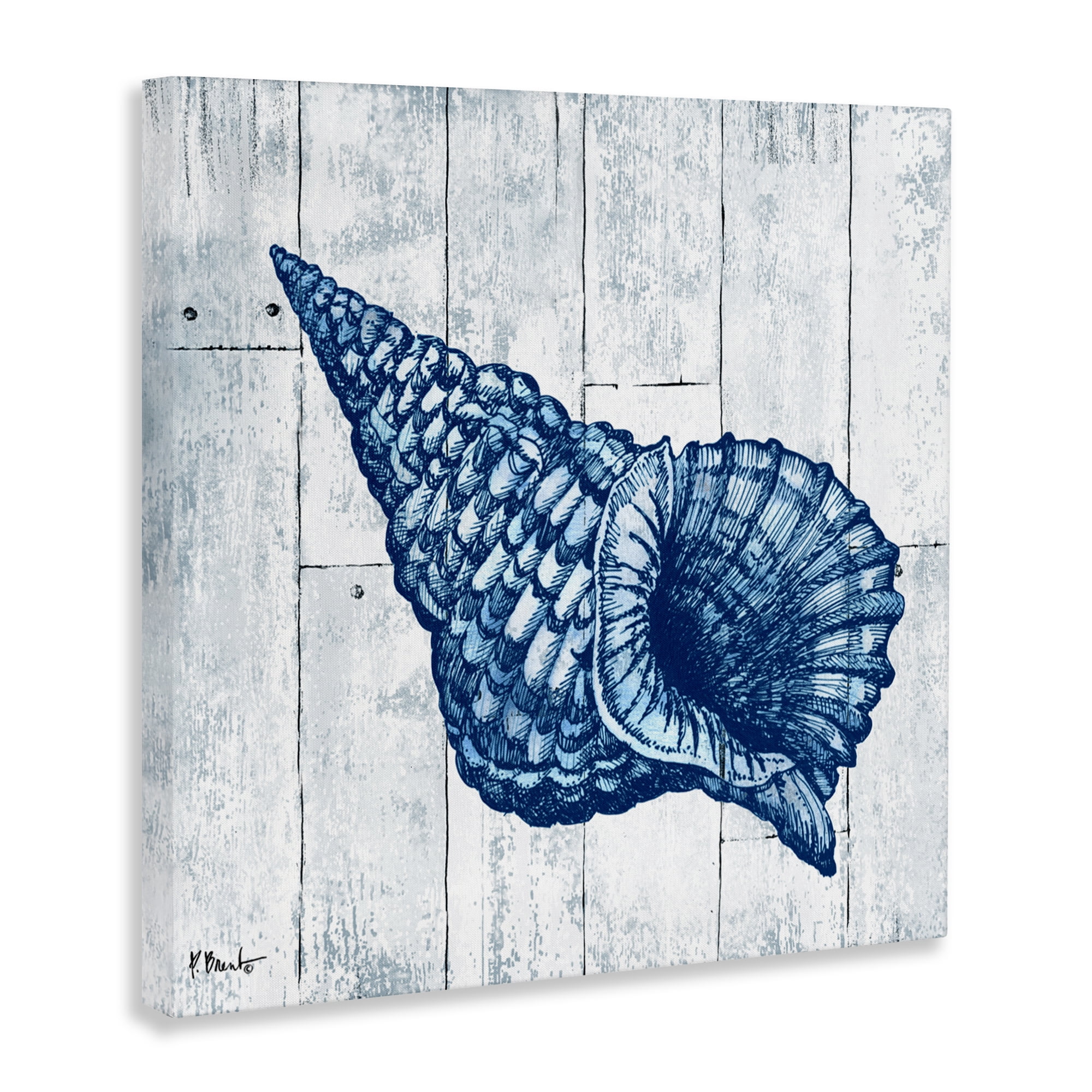 Stupell Industries Coastal Timberland Conch Canvas Wall Art, design by Paul Brent
