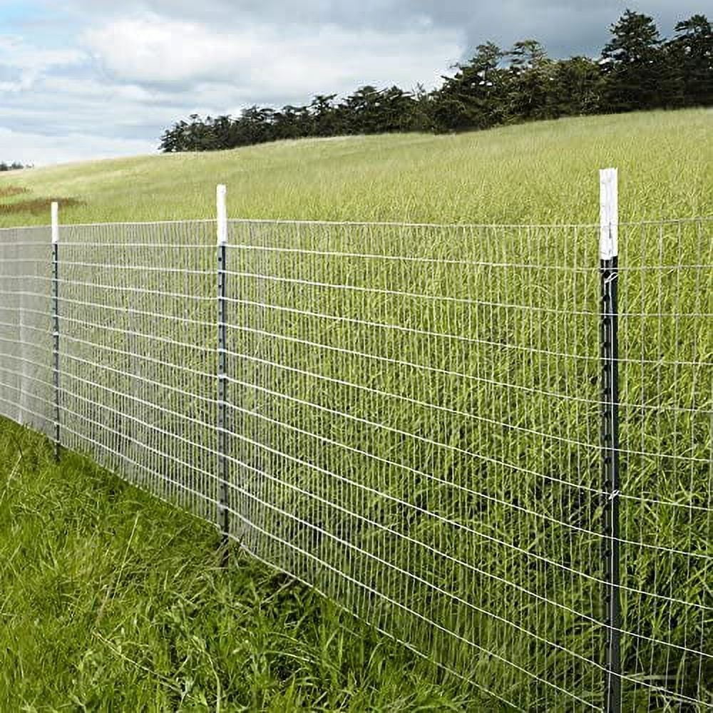 MTB Galvanized Welded Wire Mesh Garden Economy Fence 48" x50'-2"x3" 16GA