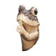thumbnail image 4 of Estatua de rana animal, decoración de animales, manualidades, decoración, adorno coleccionable, escultura de rana para fiesta al aire libre, gabinete, estilo A, 4 of 8