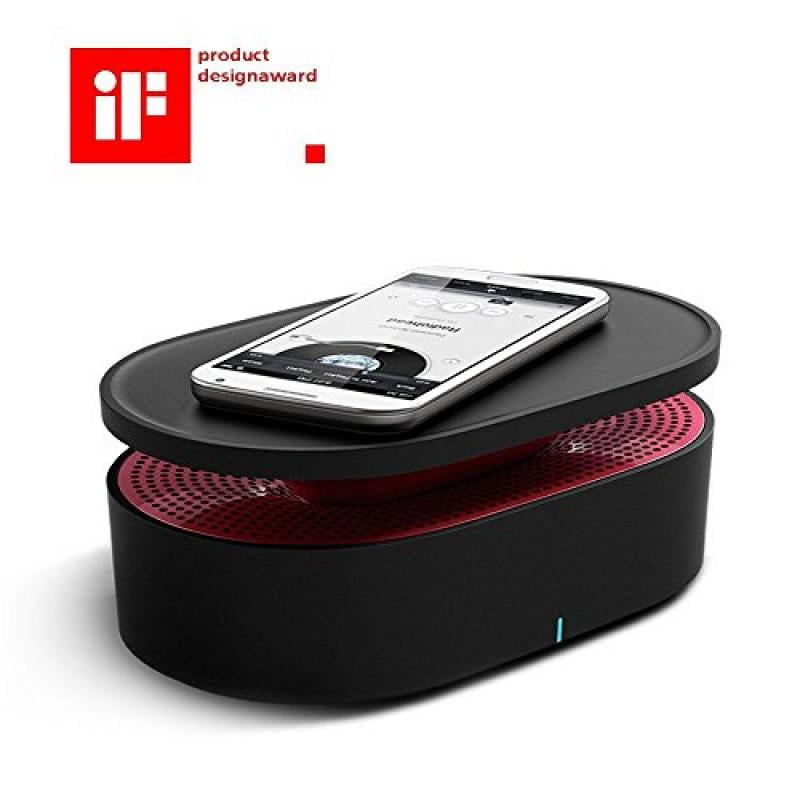 stereo induction speaker