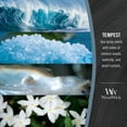 thumbnail image 3 of WoodWick Ellipse Scented Candle, Tempest, 16 oz, 3 of 7