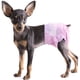 thumbnail image 1 of Pañales desechables para perros, cachorros y gatos, color rosa, 12 unidades, 36 unidades, con orificio ajustable para la cola., 1 of 5