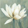 thumbnail image 3 of Robinson, Carol 12x12 Black Modern Framed Museum Art Print Titled - Waterlily I, 3 of 5