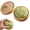 B-green, variant on Dumpling Squishy - Squishy Dumplings with Steamer Box, Soft Squeeze Decompression Dough Fidget, Large Stress Relief Sensory Ball, 6 Colors, for Adults