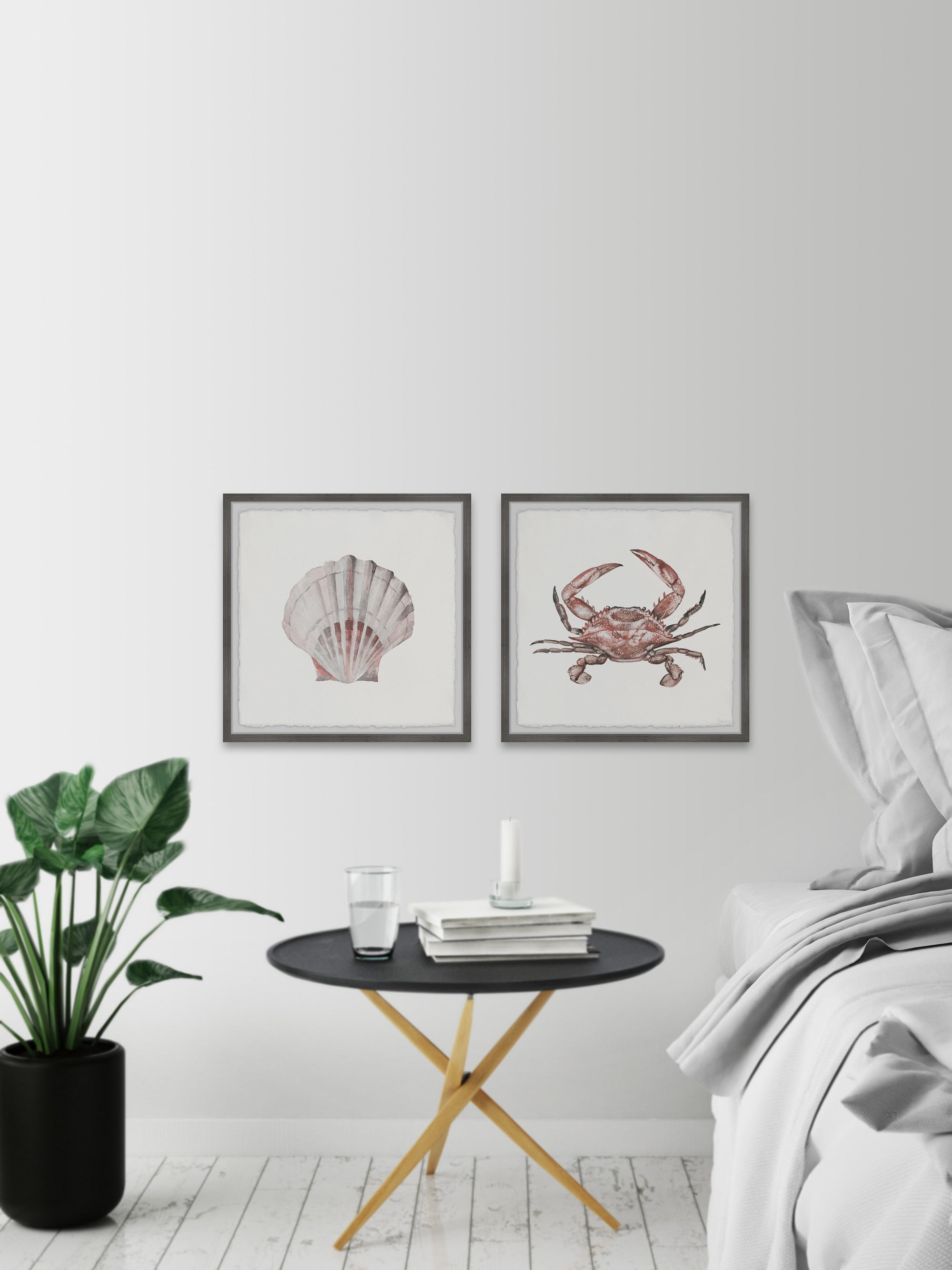 Parvez Taj Crab and Shell Blush Diptych