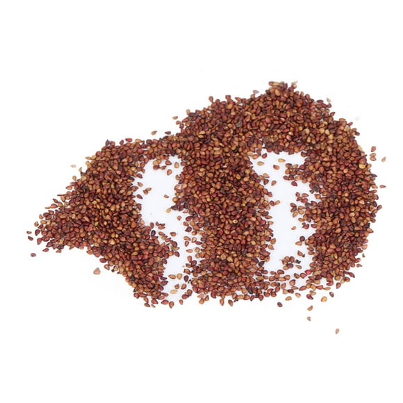 Strawberry Seeds 50g Native Strawberry Fruits Seeds for Home Gardens Courtyards Balconies Flowerbed Greening Projects