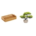 thumbnail image 1 of Cestas de almacenamiento,Cestas de almacenamiento de cocina tejidas con asas hechas a mano,Cestas de pan redondas Bandejas para servir Rectángulo,Árbol bonsái artificial,Árbol bonsái, 1 of 8