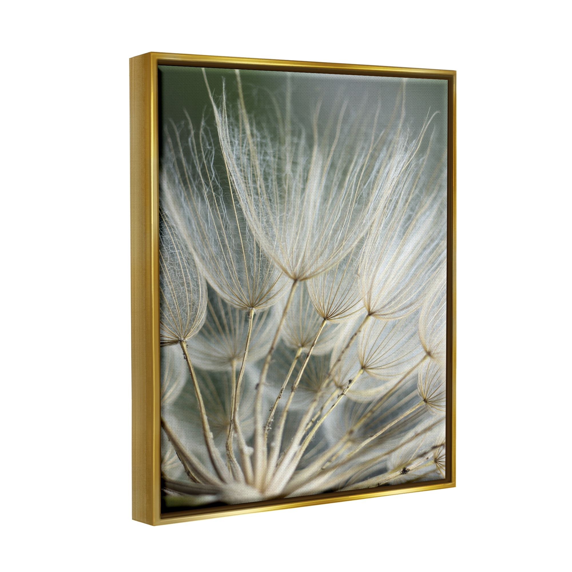 Stupell Industries Soft Dandelion Photography Botanical & Floral Photography Gold Floater Framed Canvas Art Print Wall Art, 17 x 21