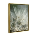 thumbnail image 4 of Stupell Industries Soft Dandelion Photography Botanical & Floral Photography Gold Floater Framed Canvas Art Print Wall Art, 17 x 21, 4 of 10