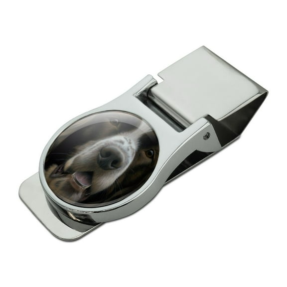 English Springer Spaniel Dog Face Closeup Satin Chrome Plated Metal Money Clip