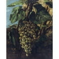 thumbnail image 2 of Gustave Courbet 20x24 Black Ornate Framed Double Matted Museum Art Print Titled: Grape Cluster (1871), 2 of 5