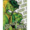 thumbnail image 1 of Marvel Impression sur Toile Fury Hulk, 1 of 1